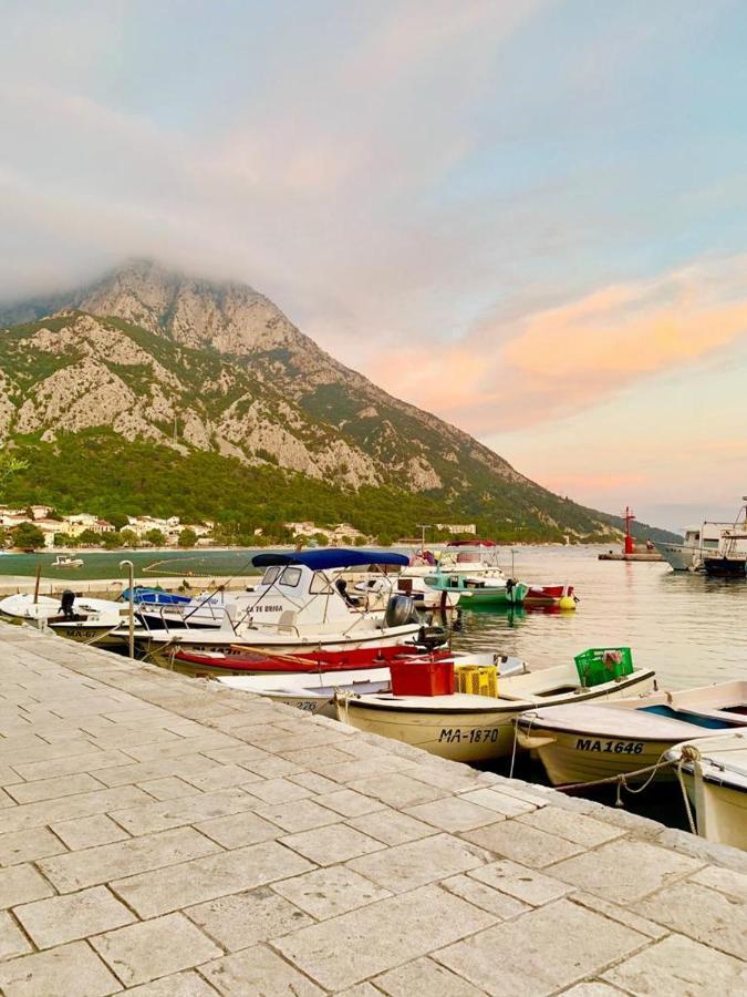 Apartment Cvita Gradac  Zewnętrze zdjęcie